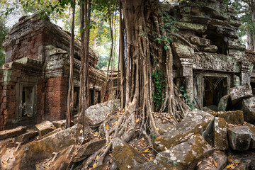 Fototapeta na wymiar Jungle temple, ancient stone gates and tree roots. Angkor Wat complex, Siem Reap, Cambodia travel destinations.