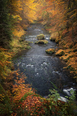 Fluss im bunten Herbstwald