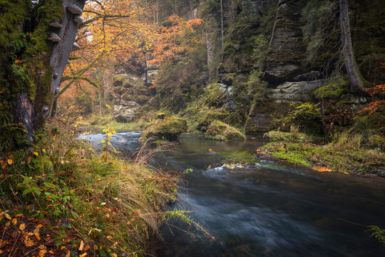 Kamnitzklamm im Herbst
