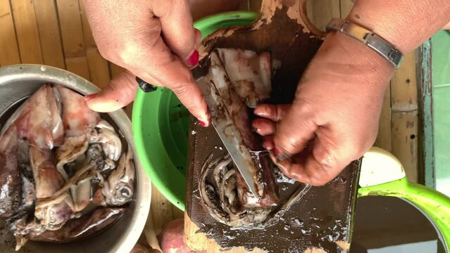 hands of a person cutting and cleaning squids seafood 