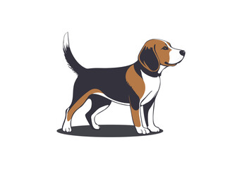 Vector standing cute beagle dog. Friendly pet. English hunting doggy. White isolated background.