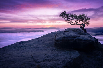 Blick vom Lilienstein auf einen bunten Himmel vor Sonnenaufgang und ein Tal voller Wolken und Nebel © Christoph