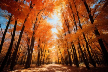 Breathtaking Autumn Foliage Wide Lens, Generative AI 