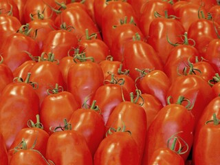 Nahaufnahme Tomaten