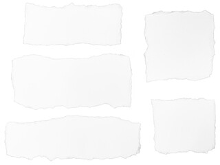 Fototapeta premium Collection of Ripped white paper note message isolated on transparent background