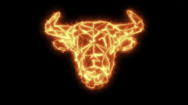 Animated burning lines are formed into the image of a bull