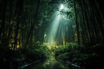 Otherworldly Bamboo Illuminated at Night, Generative AI 