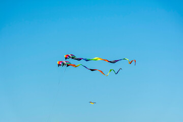 Beautiful colored kites fly through the sky of the city. 