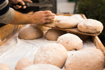 Bread preparation. loaves of dough before baking