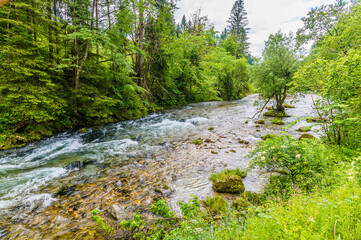 A view down the Radovna River at the start of the Vintgar Gorge in Slovenia in summertime