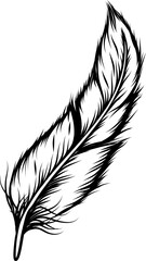 Swan Feather Hand Drawn Illustration Vector
