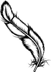 Bird Feather Hand Drawn Illustration Vector