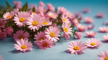 daisy flowers with light blue paper background good for multimedia digital content creation, artistic background