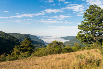 Beautiful viewpoint at Ronda Municipal Park in Sao Francisco de Paula, South of Brazil