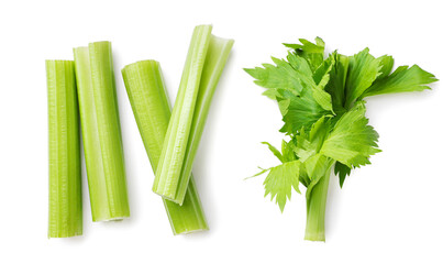 Set of celery stalks on a white background. Top view - obrazy, fototapety, plakaty