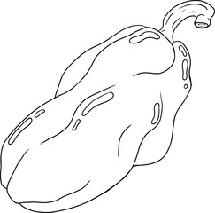 Hand drawn line illustration of different types of pepper. Bell sweet peppers, paprika. Vegetables painted with ink on white background. Vector sketch food.