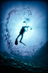 Underwater photographer surrounded by barracusa to be photographed in the Plemmirio Reserve in Syracuse - Sicily