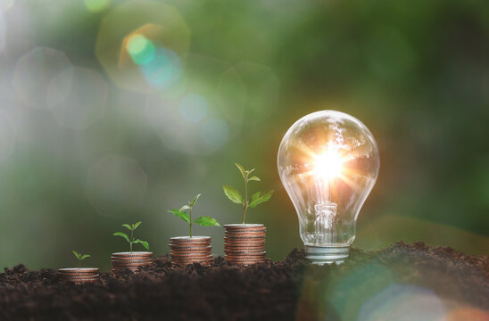 alternative energy, Renewable Energy, saving energy and finance, energy stock investment, tree growing up on stack coin and lightbulb on soil. investment growing up of business future to sustainable