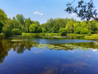 Fototapeta na wymiar Beautiful lake in forest park. Summer landscape of nature with clear, transparency water and blue sky. Scenic view of pond shore with trees, aquatic plants, green grass and white water lilies.