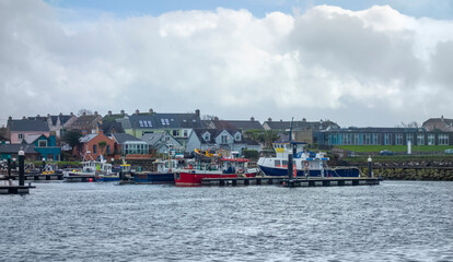 Fototapeta premium Dingle Harbour