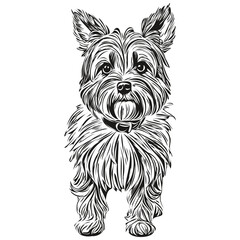 Dandie Dinmont Terriers dog logo vector black and white, vintage cute dog head engraved realistic pet silhouette