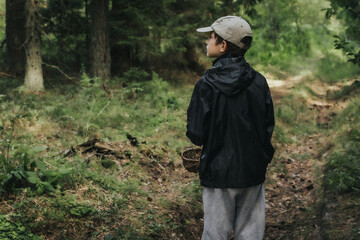 A boy with a wicker basket in his mouth. A child picks mushrooms alone in the forest. Soft selective focus