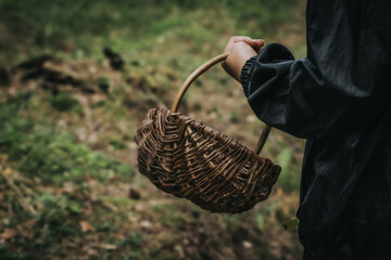 A boy with a wicker basket in his mouth. A child picks mushrooms alone in the forest. Soft...