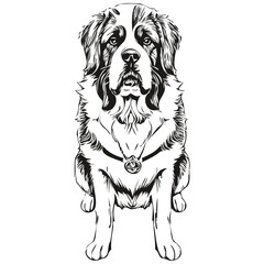 Fototapeta premium Saint Bernard dog ink sketch drawing, vintage tattoo or t shirt print black and white vector