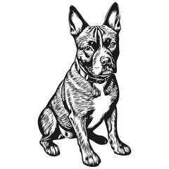 Staffordshire Bull Terrier dog outline pencil drawing artwork, black character on white background