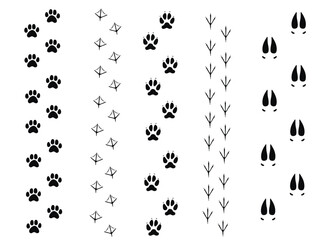 Vector set of animals footprints.