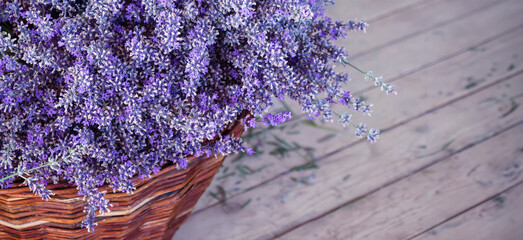 Floral banner with bunches of lavender in a basket on background of wooden boards with empty place for text, top view. Bouquets of violet lavender flowers, preparing lavender for drying season. - 627329292