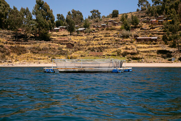Trout fishing farm on Lake Titicaca in Peru.