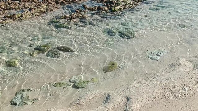 Video of glare from the sun in clear water on the beach. Crystal clear water on a sandy beach