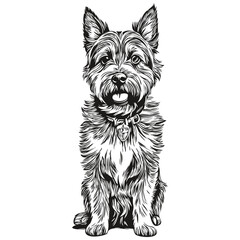 Border Terrier dog logo vector black and white, vintage cute dog head engraved realistic breed pet