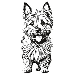 Cairn Terrier dog realistic pet illustration, hand drawing face black and white vector realistic pet silhouette