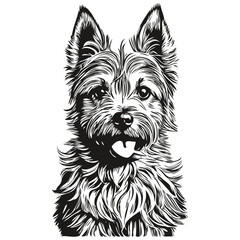Cairn Terrier dog head line drawing vector,hand drawn illustration with transparent background realistic pet silhouette