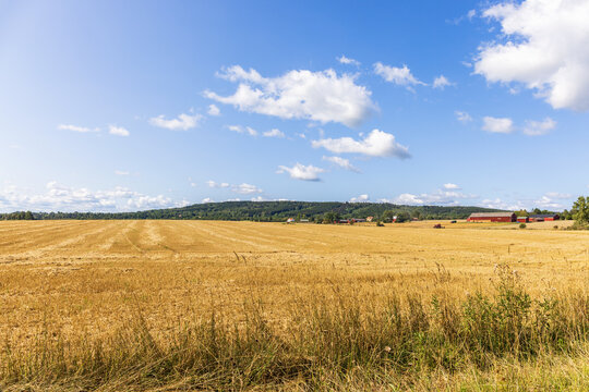 View at a field in a rural landscape