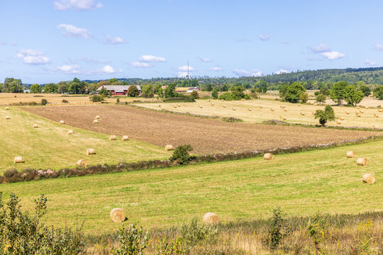 Agriculture landscape with bales on the fields