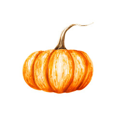 Watercolor autumn orange pumpkin. Farm ripe vegetable isolated on white background. For designers,...