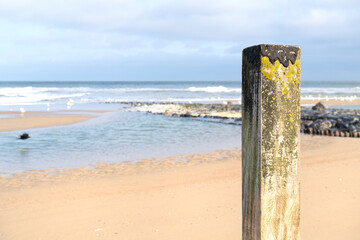 pole at the beach with many seagulls