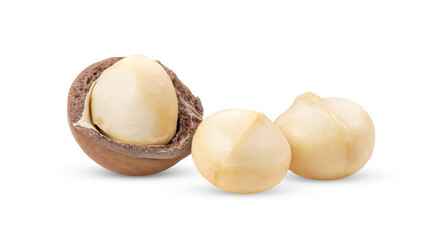 macadamia nuts isolated on transparent png
