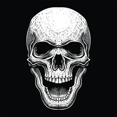Skull position facing forward vector illustration for your company or brand