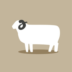 illustration of a sheep