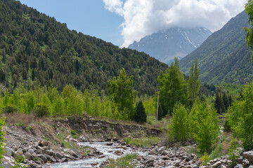 Fototapeta na wymiar Emerald Mountain River in Spring