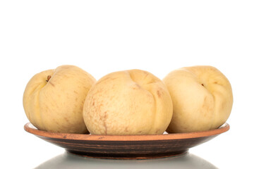 Three juicy ripe peaches on a clay plate, macro, isolated on white background.