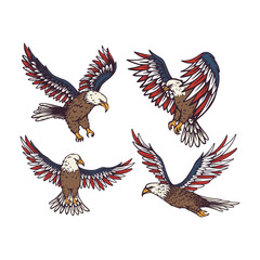 Set of American bald eagle vector illustration with USA flag at wing