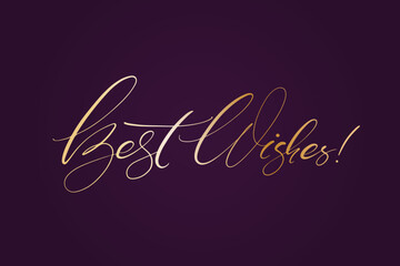 BEST WISHES hand lettering, vector illustration. Hand drawn lettering card background. Modern handmade calligraphy. Hand drawn lettering element for your design.