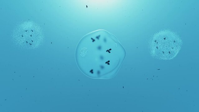 Cell lysis, 3d animation. Breaking down of the membrane of a cell