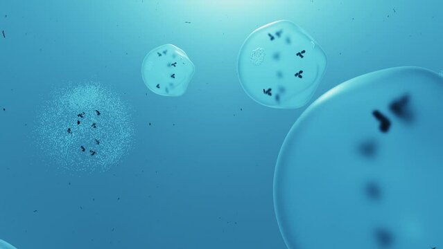 Cell lysis, 3d animation. Breaking down of the membrane of a cell