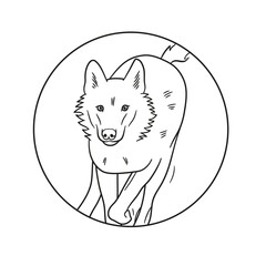 Illustration Line Art Tier Wolf